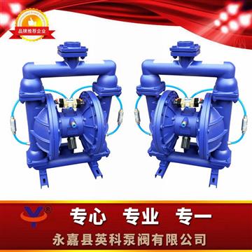 鑄鐵粉體氣動（dòng）隔膜泵